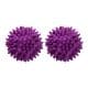 Fackelmann Trocknerkugel Lila
